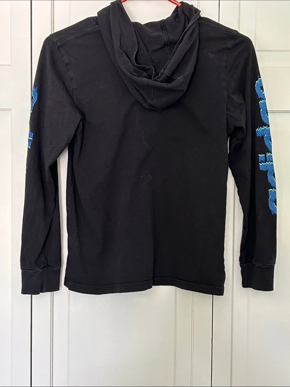 adidas Black Hoodie with Blue-Green Logo